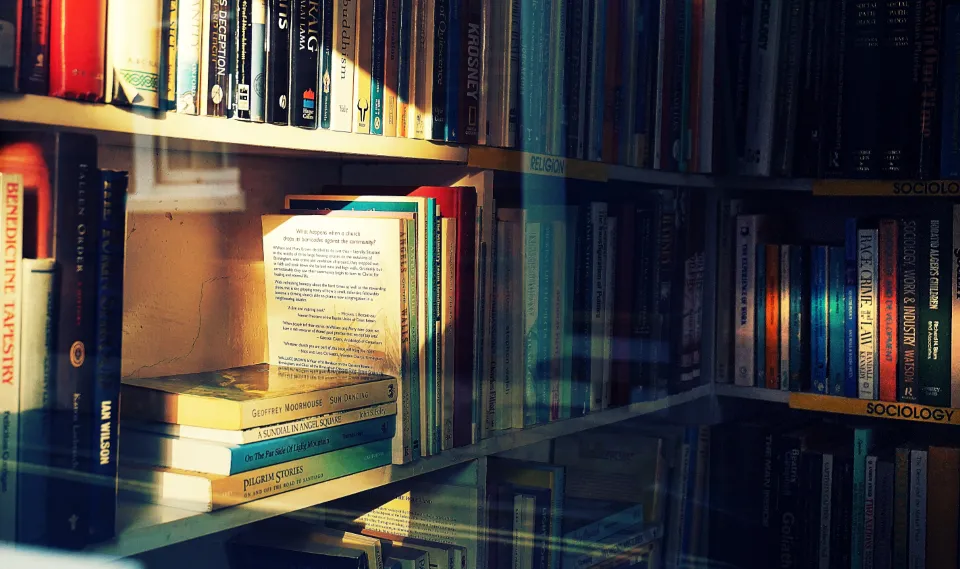 Sunlit bookshelves with a small stack of books on a ledge