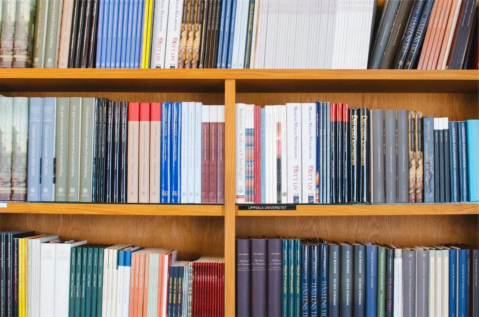 Wooden library shelves holding rows of catalogued books